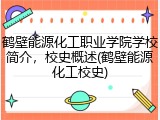 鹤壁能源化工职业学院学校简介，校史概述(鹤壁能源化工校史)
