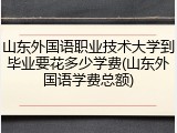 山东外国语职业技术大学到毕业要花多少学费(山东外国语学费总额)