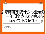 宁德师范学院什么专业最好，一年招多少人(宁德师范优势专业及招生)