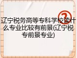 辽宁税务高等专科学校读什么专业比较有前景(辽宁税专前景专业)