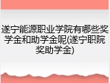 遂宁能源职业学院有哪些奖学金和助学金呢(遂宁职院奖助学金)