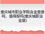 重庆城市职业学院含金量量吗，值得报吗(重庆城职含金量)