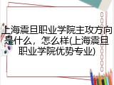 上海震旦职业学院主攻方向是什么，怎么样(上海震旦职业学院优势专业)