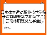 云南体育运动职业技术学院开设有哪些奖学和助学金(云南体职院奖助学金)