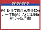 长江职业学院什么专业最好，一年招多少人(长江职院热门专业招生)