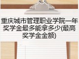 重庆城市管理职业学院一年奖学金最多能拿多少(最高奖学金金额)