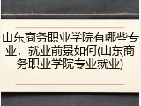 山东商务职业学院有哪些专业，就业前景如何(山东商务职业学院专业就业)