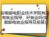 安徽邮电职业技术学院有没有就业指导，好就业吗(安徽邮电就业指导及前景)