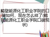鹤壁能源化工职业学院的口碑如何，现在怎么样了(鹤壁能源化工职业学院口碑现状)