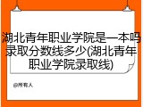 湖北青年职业学院是一本吗录取分数线多少(湖北青年职业学院录取线)