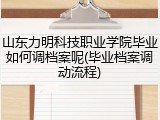 山东力明科技职业学院毕业如何调档案呢(毕业档案调动流程)