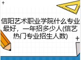 信阳艺术职业学院什么专业最好，一年招多少人(信艺热门专业招生人数)