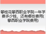 攀枝花攀西职业学院一年学费多少钱，还有哪些费用(攀西职业学院费用)