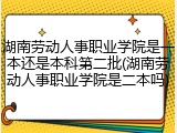 湖南劳动人事职业学院是一本还是本科第二批(湖南劳动人事职业学院是二本吗)