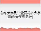 鲁东大学到毕业要花多少学费(鲁大学费总计)