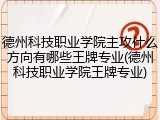 德州科技职业学院主攻什么方向有哪些王牌专业(德州科技职业学院王牌专业)