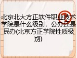 北京北大方正软件职业技术学院是什么级别，公办还是民办(北京方正学院性质级别)