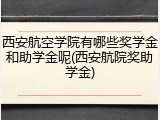 西安航空学院有哪些奖学金和助学金呢(西安航院奖助学金)