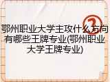 鄂州职业大学主攻什么方向有哪些王牌专业(鄂州职业大学王牌专业)