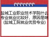 盐城工业职业技术学院什么专业就业比较好，原因是啥(盐城工院就业优势专业)