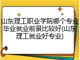 山东理工职业学院哪个专业毕业就业前景比较好(山东理工就业好专业)