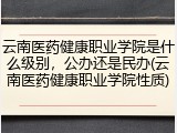 云南医药健康职业学院是什么级别，公办还是民办(云南医药健康职业学院性质)