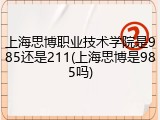 上海思博职业技术学院是985还是211(上海思博是985吗)