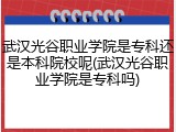 武汉光谷职业学院是专科还是本科院校呢(武汉光谷职业学院是专科吗)