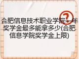 合肥信息技术职业学院一年奖学金最多能拿多少(合肥信息学院奖学金上限)