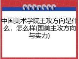 中国美术学院主攻方向是什么，怎么样(国美主攻方向与实力)