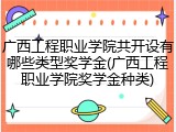 广西工程职业学院共开设有哪些类型奖学金(广西工程职业学院奖学金种类)