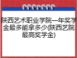 陕西艺术职业学院一年奖学金最多能拿多少(陕西艺院最高奖学金)