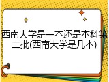 西南大学是一本还是本科第二批(西南大学是几本)