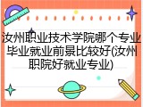汝州职业技术学院哪个专业毕业就业前景比较好(汝州职院好就业专业)