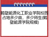 鹤壁能源化工职业学院校园占地多少亩，多少师生(鹤壁能源学院规模)
