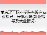 重庆理工职业学院有没有就业指导，好就业吗(就业指导及就业情况)