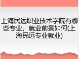上海民远职业技术学院有哪些专业，就业前景如何(上海民远专业就业)