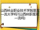 山西林业职业技术学院是双一流大学吗?(山西林职是双一流吗)