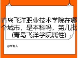 青岛飞洋职业技术学院在哪个城市，是本科吗，第几批(青岛飞洋学院属性)