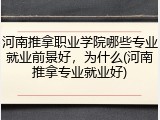 河南推拿职业学院哪些专业就业前景好，为什么(河南推拿专业就业好)