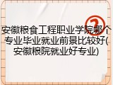 安徽粮食工程职业学院哪个专业毕业就业前景比较好(安徽粮院就业好专业)