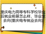 重庆电力高等专科学校毕业后就业前景怎么样，毕业生去向(重庆电专就业去向)