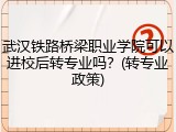 武汉铁路桥梁职业学院可以进校后转专业吗？(转专业政策)