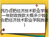 民办合肥经济技术职业学院一年财政拨款大概多少钱(合肥经济技术职业学院拨款)