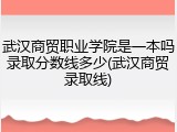 武汉商贸职业学院是一本吗录取分数线多少(武汉商贸录取线)
