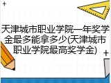 天津城市职业学院一年奖学金最多能拿多少(天津城市职业学院最高奖学金)
