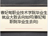 曹妃甸职业技术学院毕业生就业大致去向如何(曹妃甸职院毕业生去向)