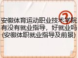 安徽体育运动职业技术学院有没有就业指导，好就业吗(安徽体职就业指导及前景)