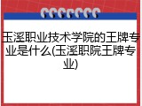 玉溪职业技术学院的王牌专业是什么(玉溪职院王牌专业)