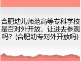 合肥幼儿师范高等专科学校是否对外开放，让进去参观吗？(合肥幼专对外开放吗)